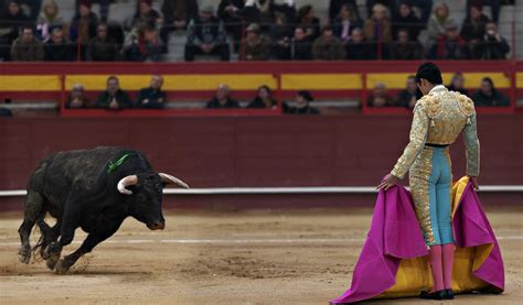  《Bullfighting》: 一場關於人生與死亡的壯麗交響曲！