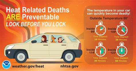 Can Flowers Sit in a Hot Car? A Discussion on the Perils of Heat Exposure